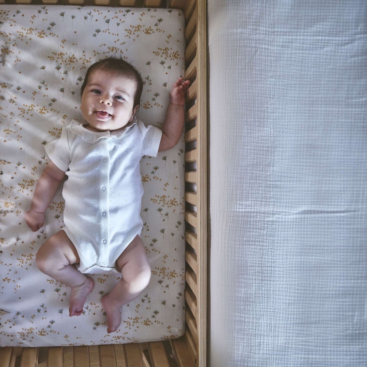 CHARLIE CRANE - Matelas Pour Kodo Cododo Avec Intérieur En Fibre De Coco Organic - Les Petits