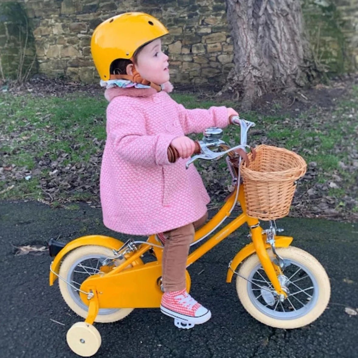 Vélo à petites roues pour enfant Gingersnap 12 bleu 2 à 4 ans